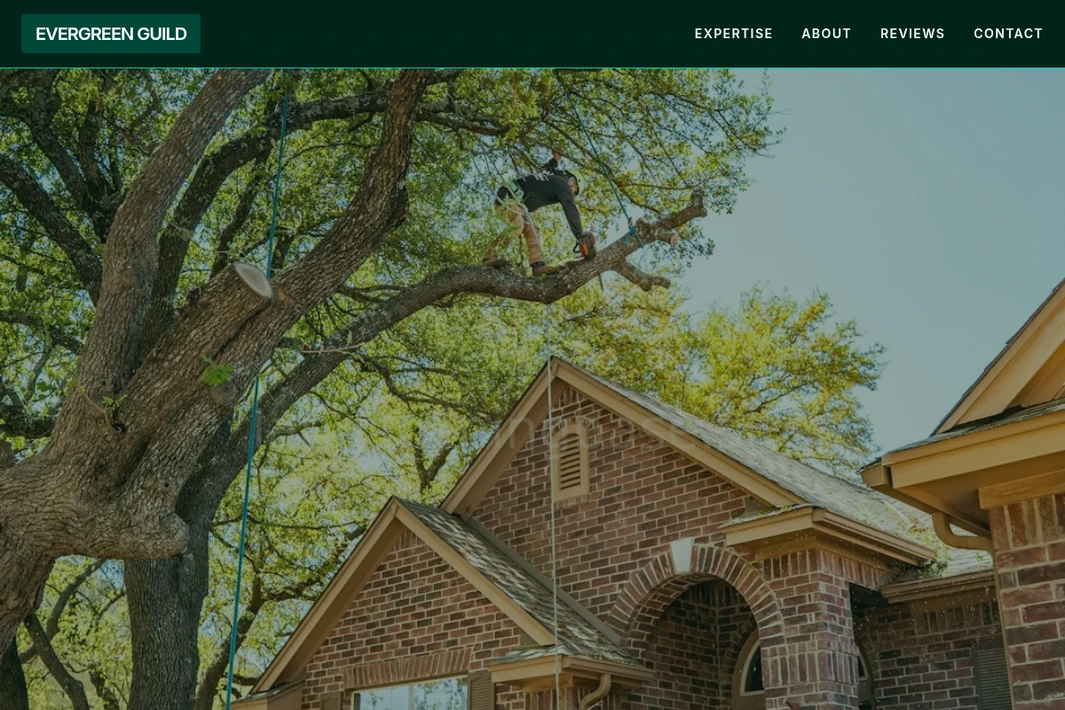 Yard Tree Trimming