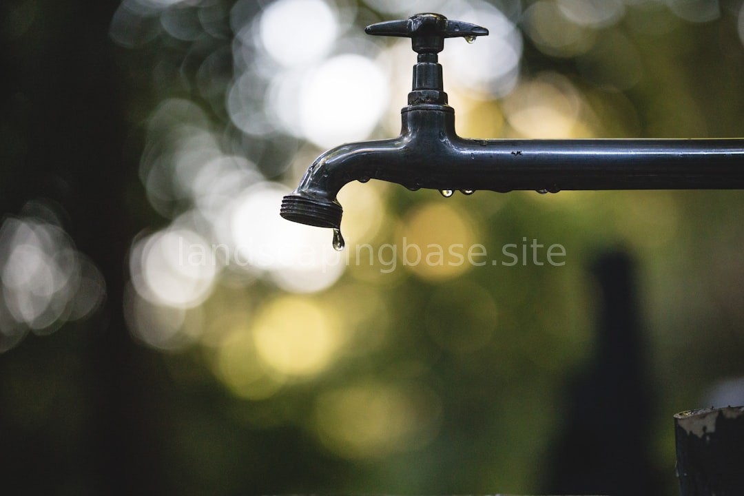 Drip Irrigation