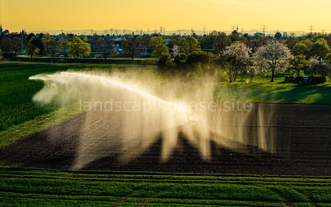 Smart Irrigation