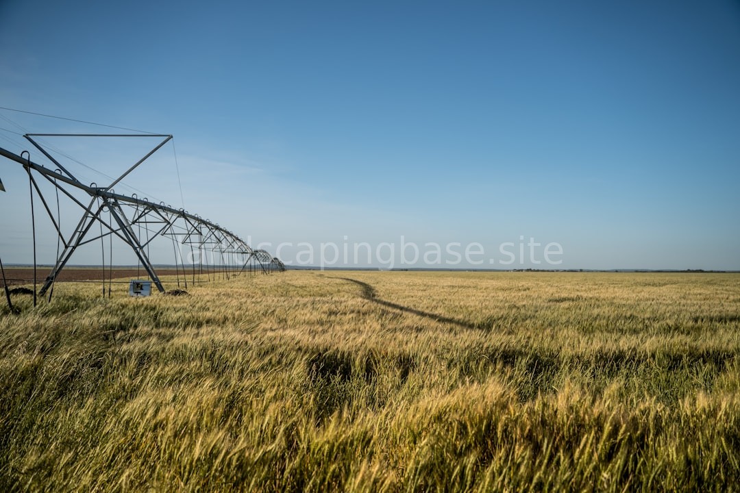 Drip Systems