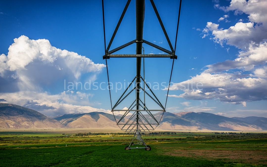 Irrigation Detail