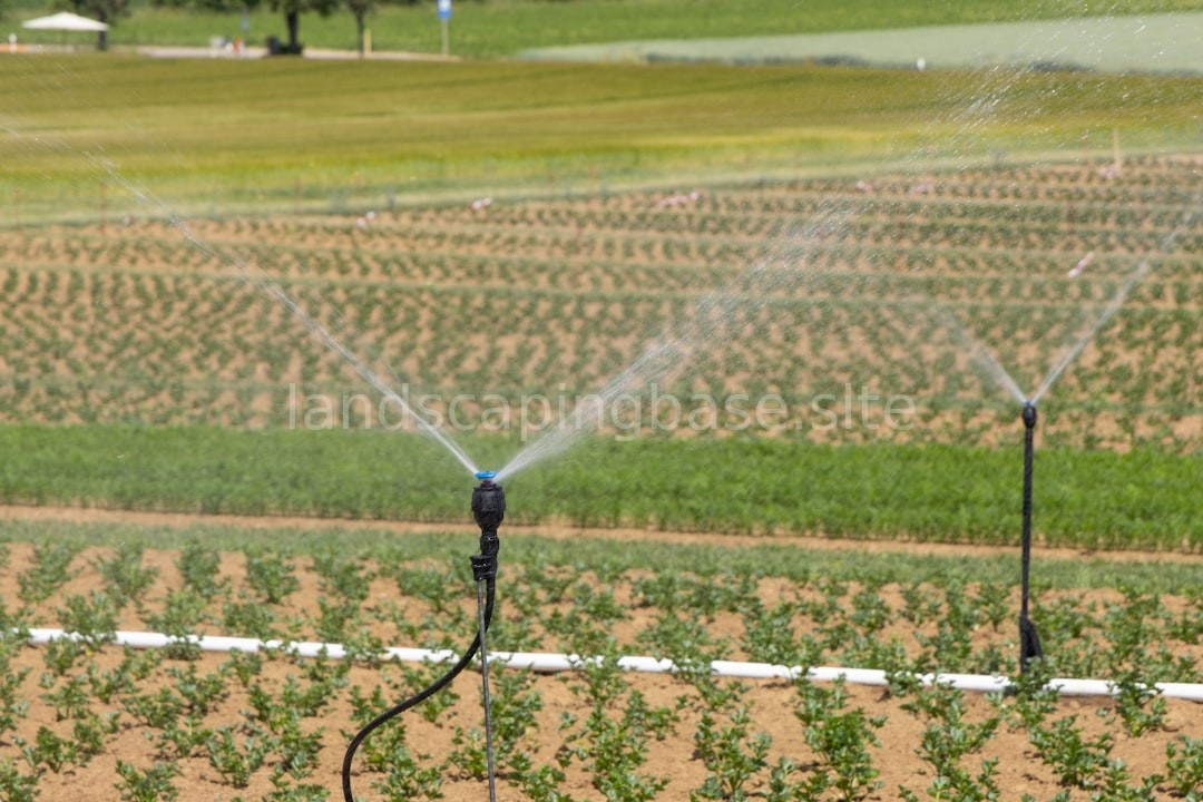 Irrigation System