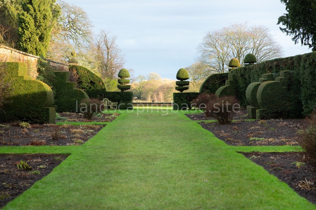 Lawn maintenance