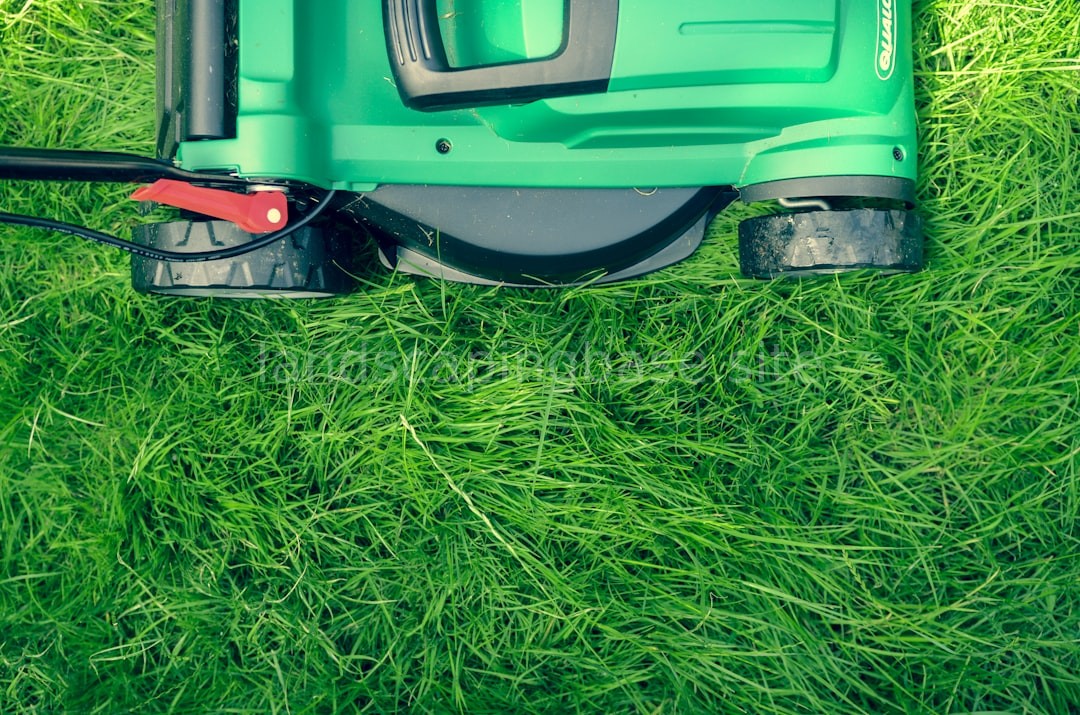 Professional Landscaper