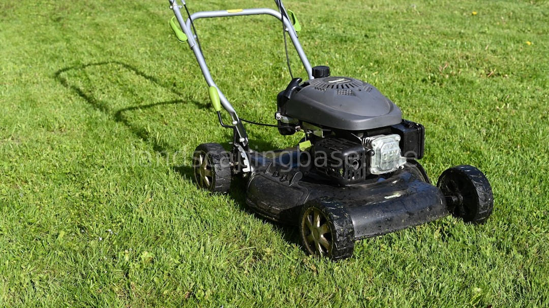 Lush green lawn